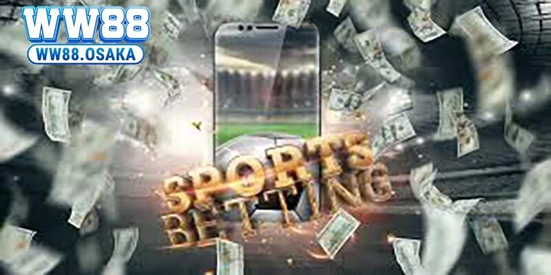 Giới thiệu nét cơ bản về sảnh cược S - sporst của nhà cái