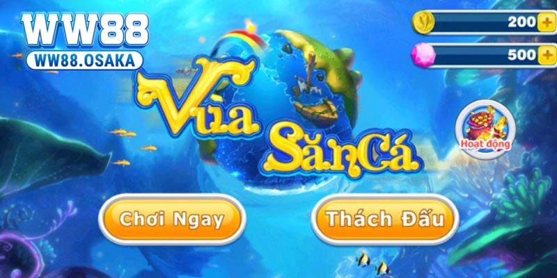 Vua săn cá